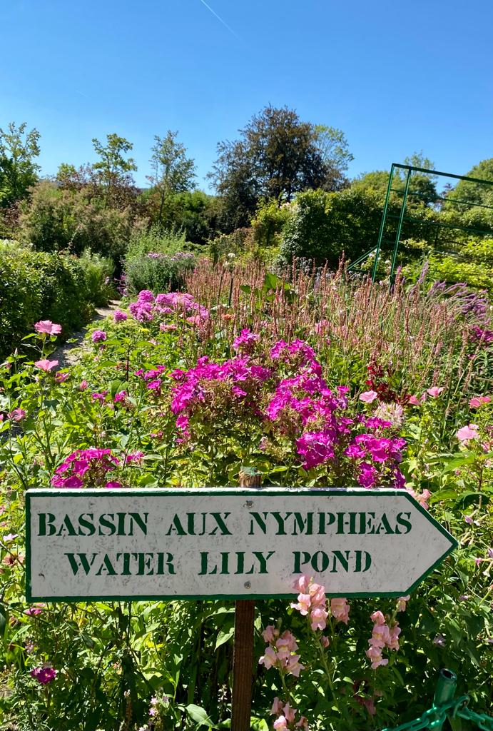 water lily pond garden giverny