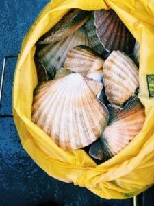 capesante_dove-mangiare-a-honfleur_normandia