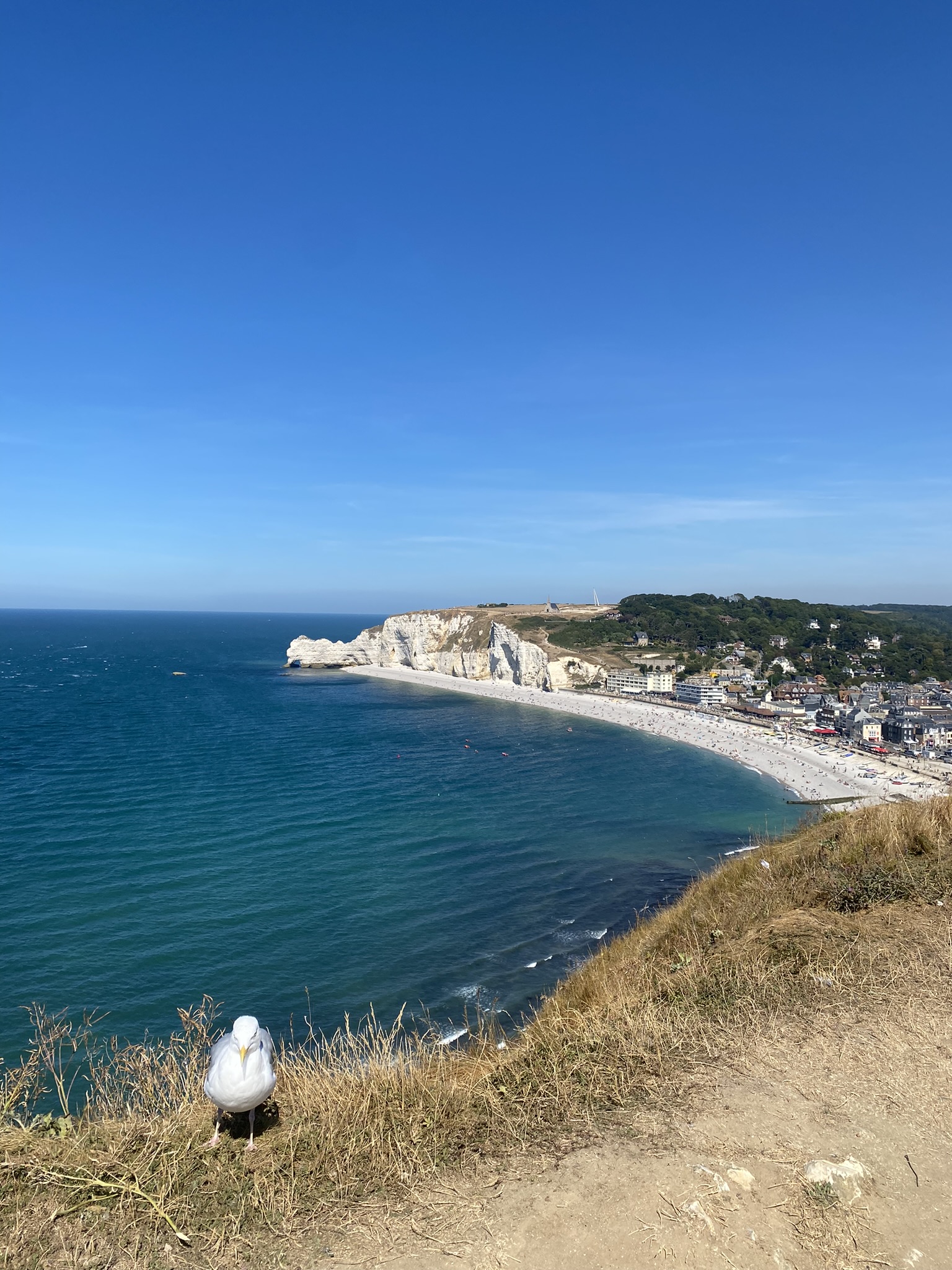 una veduta del paese di etretat vista dall'alto di una scogliera